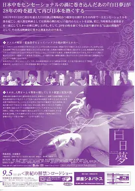 月光旅馆 电视剧 2024 免费观看